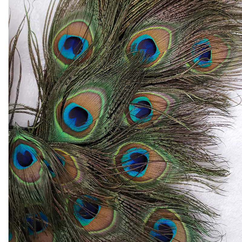 adult creative cosplay wing Pe - Interior Design Book avis et prix